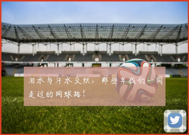 泪水与汗水交织，那些年我们一同走过的网球路！