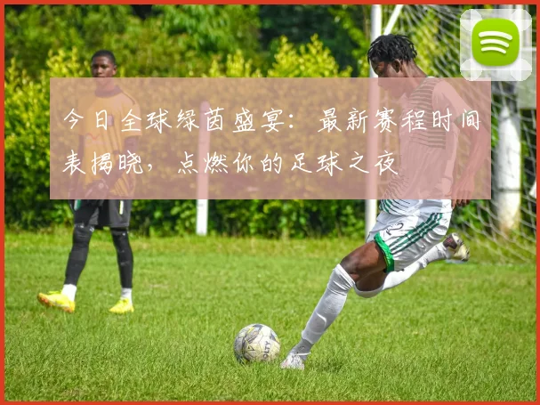 今日全球绿茵盛宴：最新赛程时间表揭晓，点燃你的足球之夜